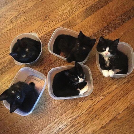 564x564